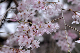 image0264
