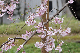 image0265