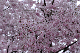 image0266