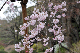 image0268