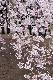 image0269