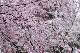 image0270