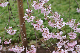 image0271