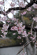image0273