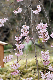 image0276