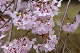 image0280