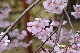 image0281