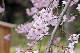 image0282