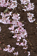 image0283