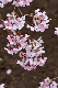 image0284