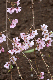 image0285