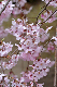 image0286