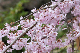 image0287