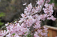 image0288