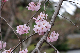 image0289