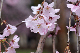 image0290