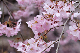 image0291