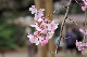 image0292