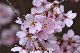 image0293