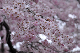 image0294