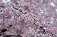 image0295