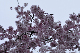 image0296