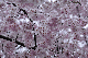 image0298