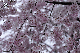 image0299