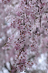 image0301