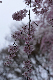 image0302