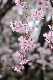 image0304