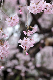 image0305