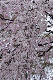 image0307