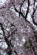 image0308