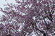 image0309