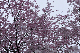 image0310