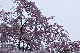 image0311