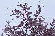 image0312