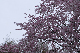 image0313