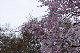 image0314