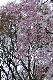 image0315