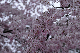 image0320