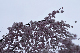 image0322