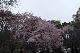 image0323
