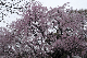 image0328