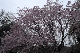 image0329