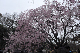 image0330