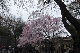 image0336