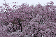 image0340