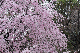 image0341